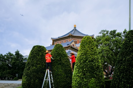 测排卵期计算器 但一旦你在浏览器中加载了它