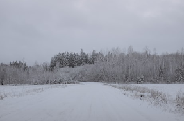 暴风雪：自然灾害中的巨大力量